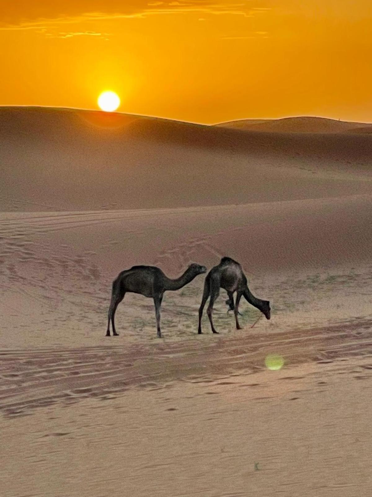 Chigaga Desert Camp マハミド エクステリア 写真